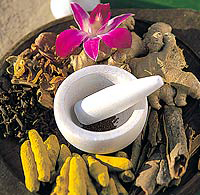 Ayurveda